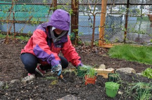 Planting