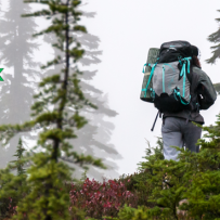 On the Elfin Lakes Trail