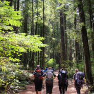 Patagonia Chile 2017: Training Hike – Baden Powell Trail